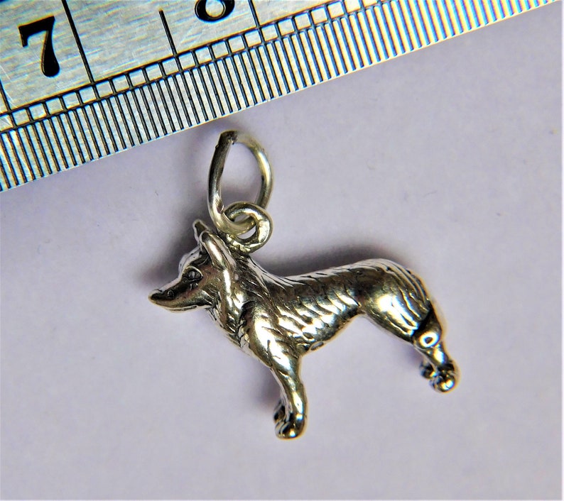 May include: A silver charm in the shape of a standing dog. The charm is about 1 inch tall and is detailed with fur and paws.