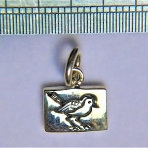 以下が含まれることがあります： 正方形のフレームの中に小さな鳥が描かれたシルバーチャーム。鳥はエッチングされた線で詳細に描かれており、ブレスレットやネックレスに取り付けるための小さなループが上部に付いています。