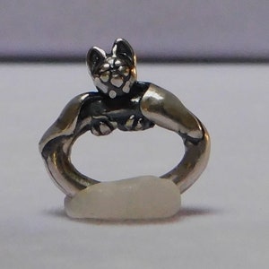 May include: A silver charm in the shape of a cat curled up in a circle. The cat's head is raised and its eyes are closed.