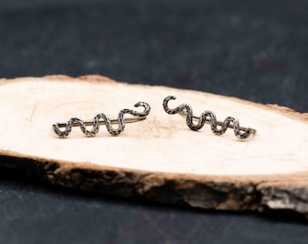 May include: A pair of silver-colored snake-shaped earrings. The earrings are placed on a wooden surface with a dark background. The snake design has a textured appearance, with the head of the snake slightly curved.