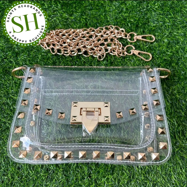 May include: Clear, transparent handbag with gold-colored hardware and studded accents. Includes a detachable gold chain strap. The bag features a rectangular shape with a flap closure and is set against a green background.