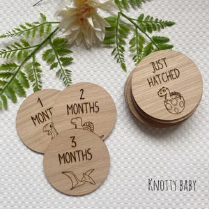 Disques en bois Dinosaure Baby Milestone, placage de chêne, accessoires photo, cadeau pour bébé, cartes jalons, nouvel accessoire bébé, ensemble de jalons, disques jalons