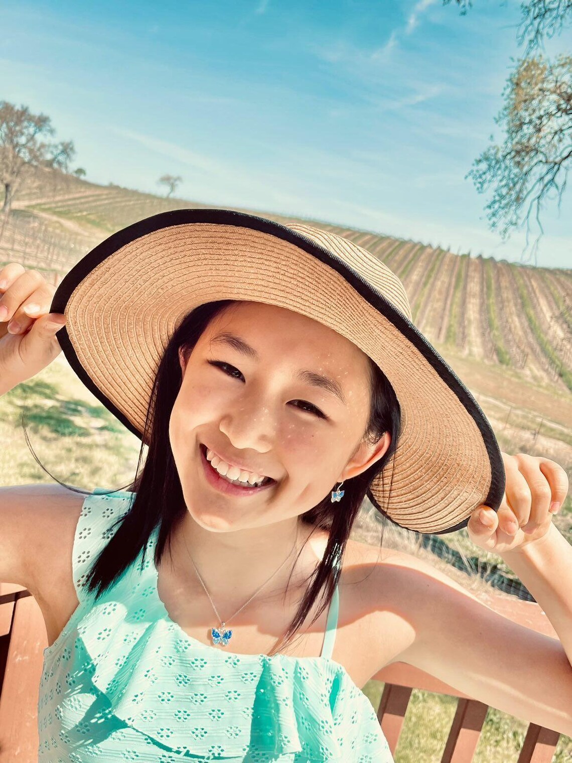 Blue Butterfly Crystal Sterling Silver Dangle Earrings Spring Etsy