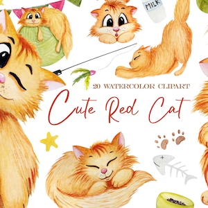 Watercolor cute orange cat clipart  in png for stickers or other projects , kawaii red cat for cat lover, cartoon cat , commercial use