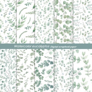 Aquarel eucalyptus patronen, eucalyptus print, eucalyptus verlaat digitale papieren verpakking, naadloze patronen, eucalyptus clipart