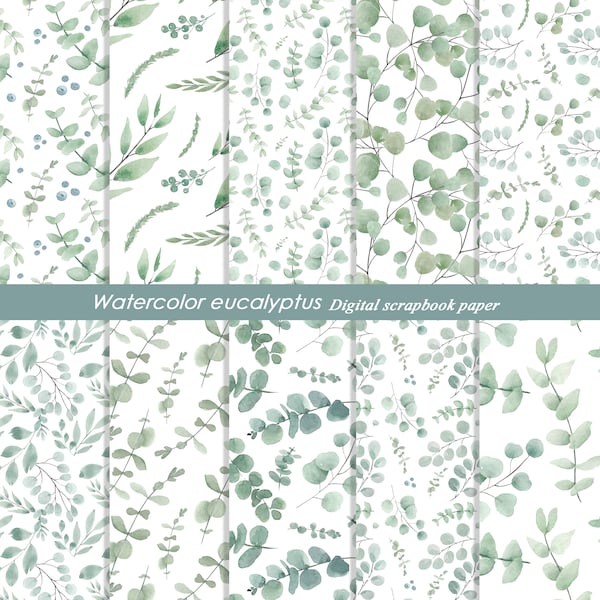 Watercolor eucalyptus patterns, eucalyptus print, eucalyptus leaves digital paper pack, Seamless patterns, eucalyptus clipart