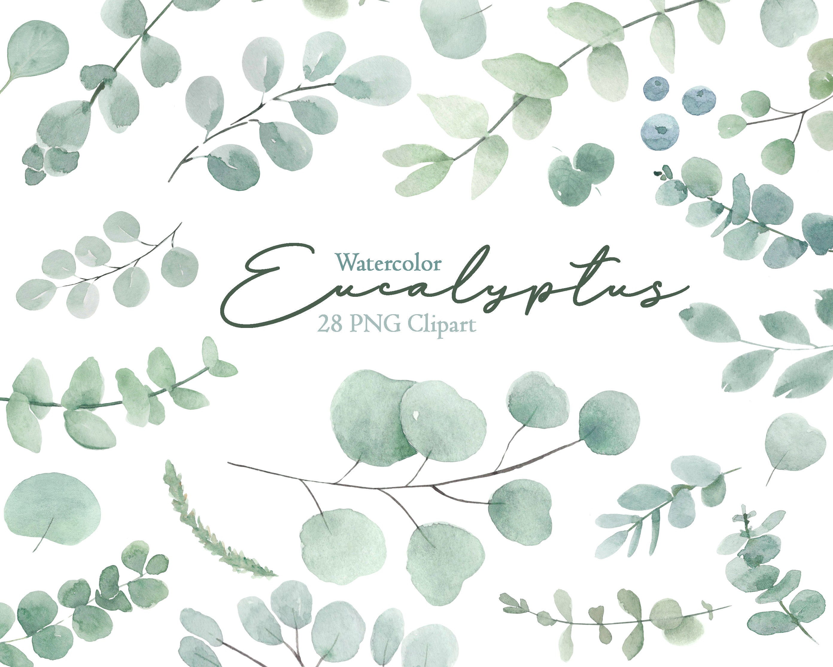 Watercolor Eucalyptus Clipart For Bridal Shower Invitation. | Etsy