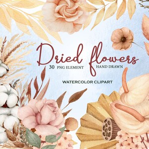 Aquarelle boho fleurs séchées clipart pour invitation de mariage. Boho pampa herbe clipart PNG