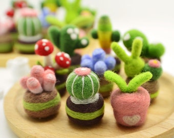 Needle Felting Kit, Succulent Potted Plants Wool Felt Kit, DIY Crafts Gift, Handmade Beginner Friendly, Mother's Day Gift for Mom, Grandma