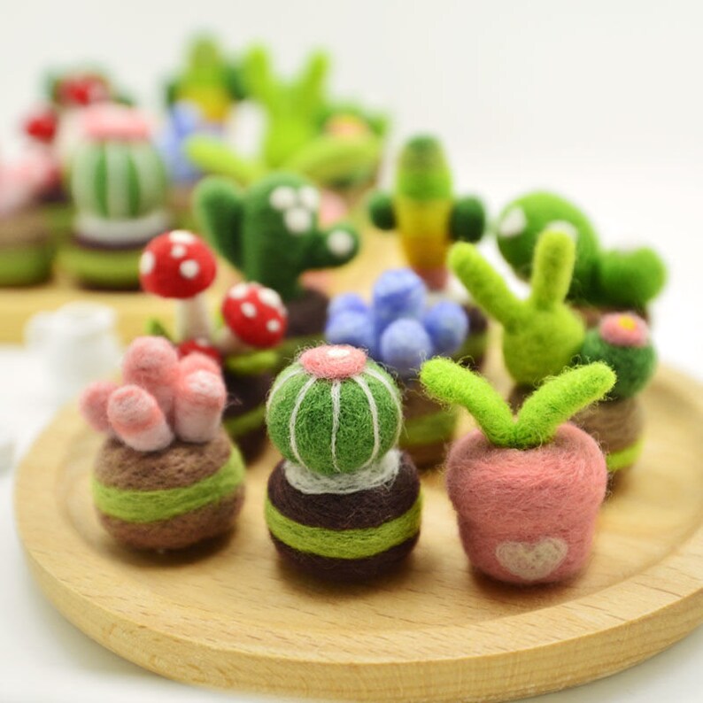 Needle Felting Kit Succulent Potted Plants Wool Felt Kit DIY Etsy