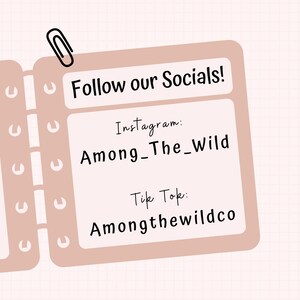 May include: A pink notebook with a paperclip on the top left corner. The notebook has the text "Follow our Socials!" at the top. The text "Instagram: Among_The_Wild" and "Tik Tok: Amongthewildco" is written in black ink on the notebook.