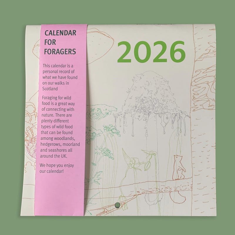 2026 Calendar Foraging Etsy UK Il 135c 
