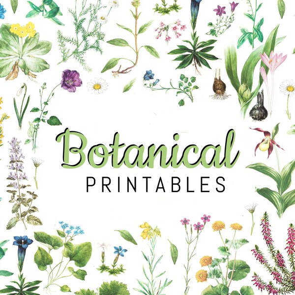 Botanical Ephemera kit Printable Digital Download Sheet journaling pages Antique Botanical vintage Junk Journal Nature flower Gift Tags
