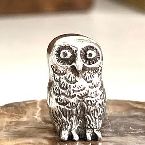 May include: A small, silver-colored owl figurine. The owl has large, detailed eyes and textured feathers. The figurine is standing upright and appears to be made of metal. The owl is a decorative item.