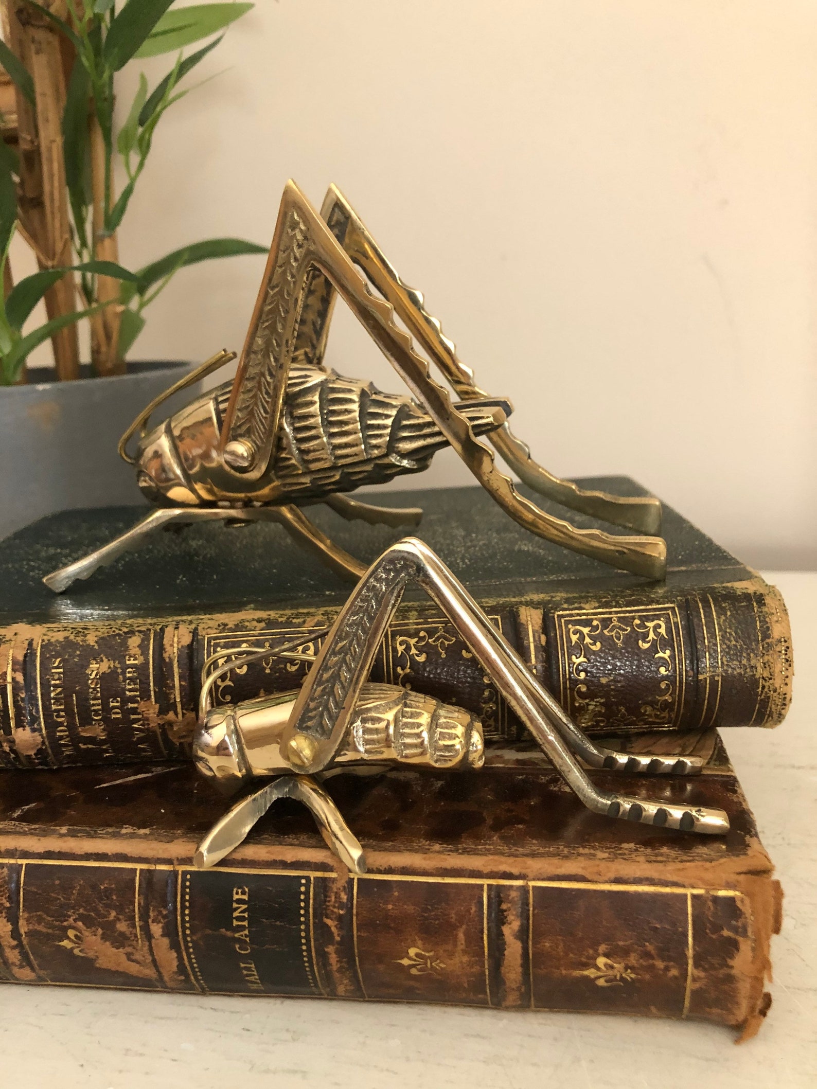 Brass Cricket Good Luck Hearth Cricket Two Sizes Etsy