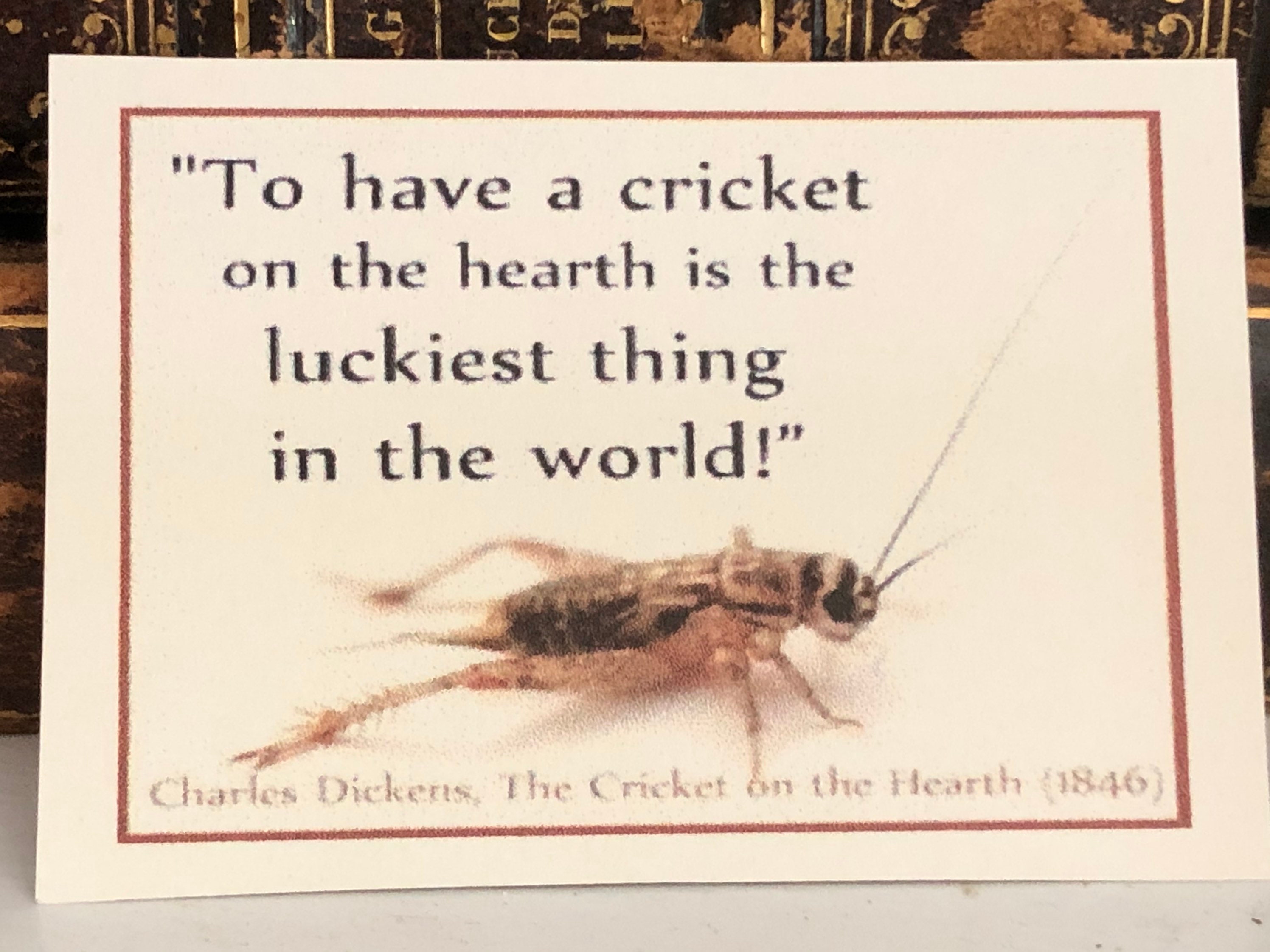 Brass Cricket Good Luck Hearth Cricket Two Sizes Etsy