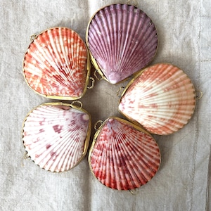 May include: Five scallop shells arranged in a circular pattern, each encased in a thin gold metal frame. The shells feature natural ridges and varied color patterns, including shades of orange, deep purple, light pink, and reddish-brown.