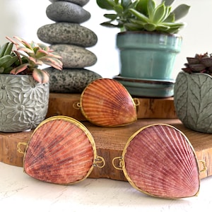 Handmade Scallop Shell Box | Shell Ring Box