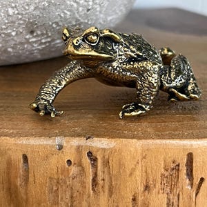 Brass Frog | Brass Toad