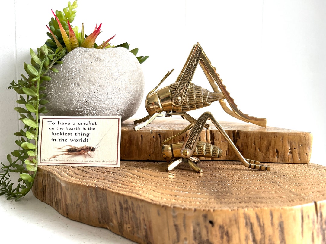Brass Cricket Good Luck Hearth Cricket Two Sizes Etsy