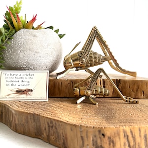 Brass Cricket | Good Luck Hearth Cricket | Two Sizes