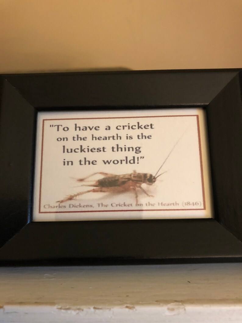 Brass Crickets with Framed Quote Good Luck Hearth Cricket Etsy
