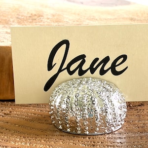 May include: A silver-colored sea urchin-shaped place card holder with a textured, bumpy surface. A rectangular off-white paper card is inserted into the top of the holder, featuring the name Jane printed in a black, cursive-style font.