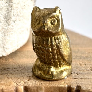 Owl Coin Purse – Cosmica World Boutique