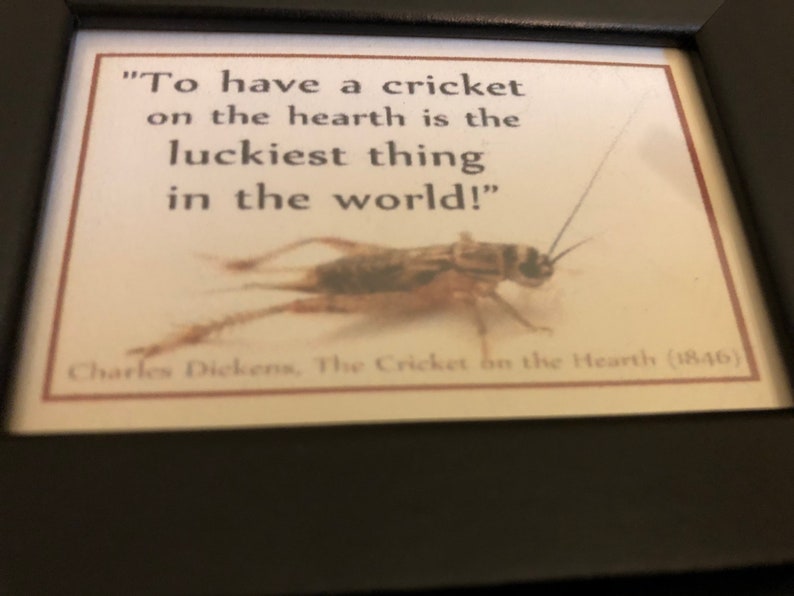 Brass Crickets with Framed Quote Good Luck Hearth Cricket Etsy