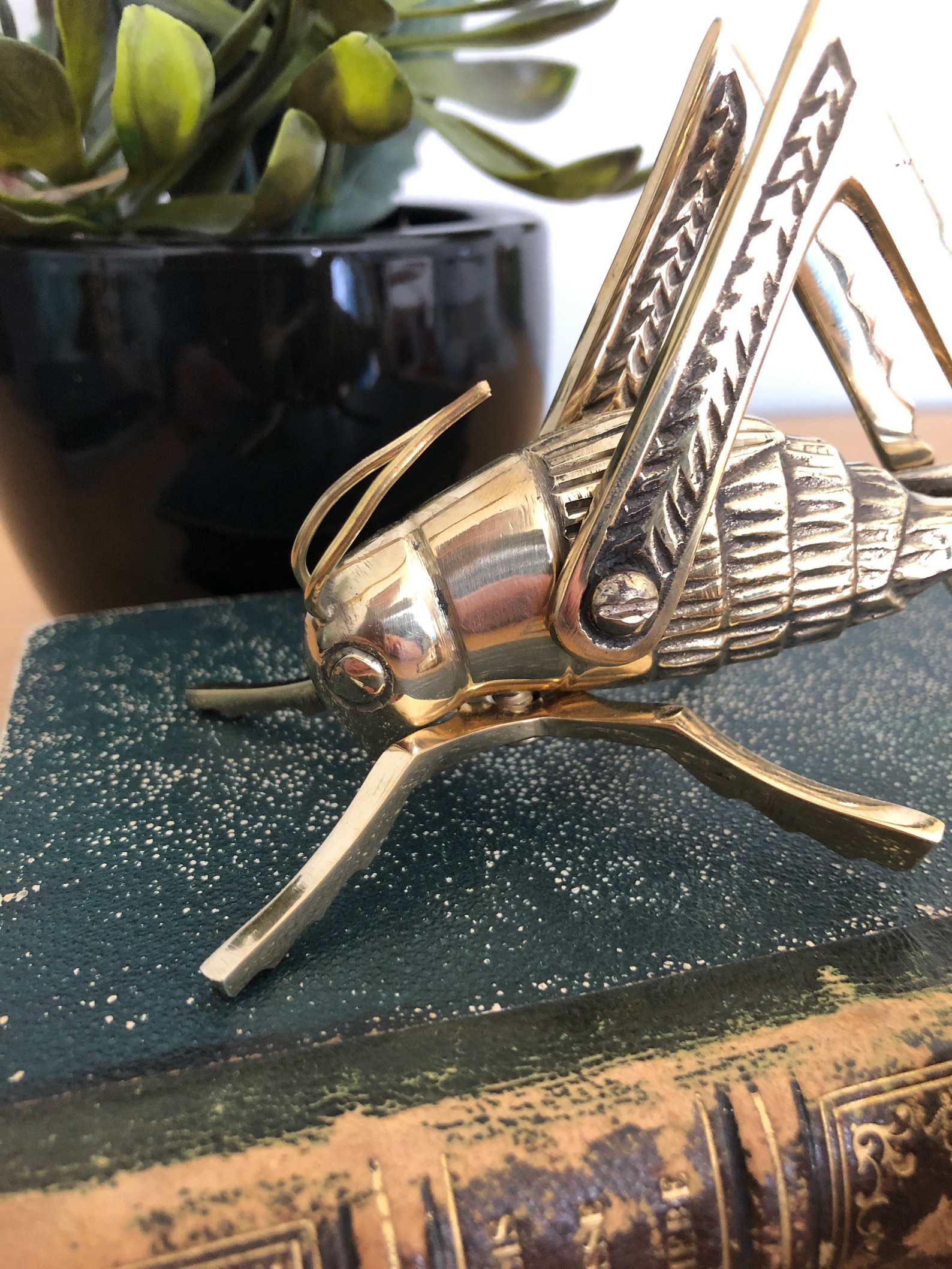 Brass Cricket Good Luck Hearth Cricket Two Sizes Etsy