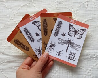 Insecten stickersheet | Vlinder stickers | Bullet journal stickers | planner stickers || scrapbook stickers || DutchDesignInk