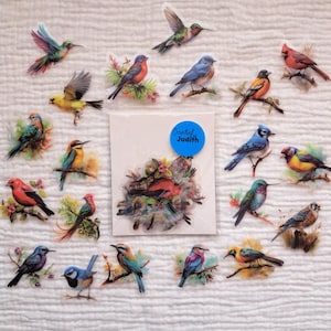 40 stickers oiseaux transparents