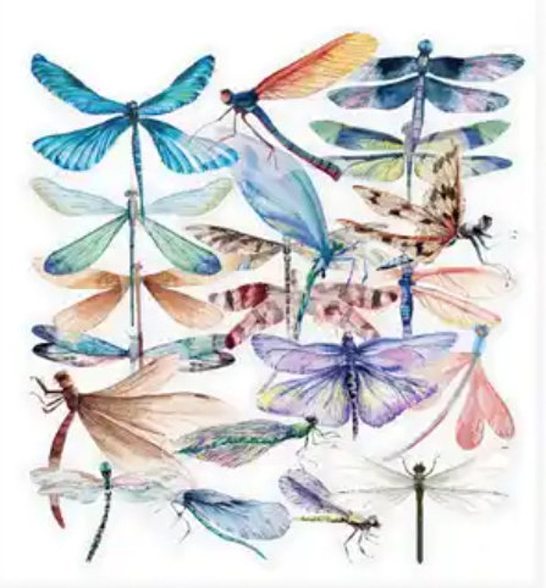 40 transparent dragonfly stickers image 1