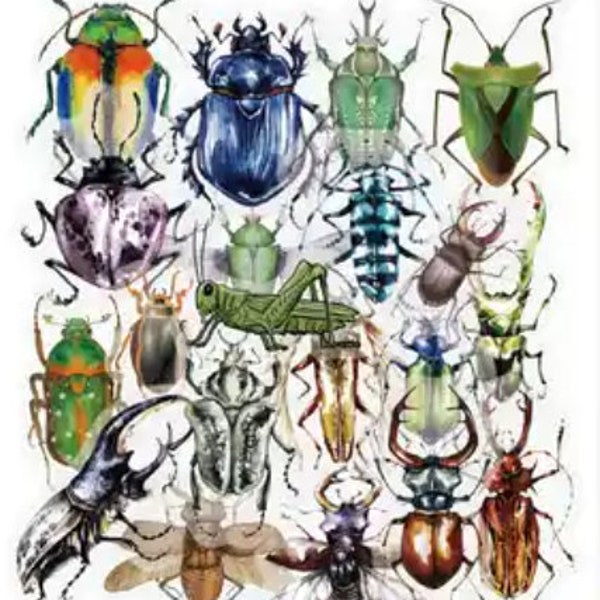 40 Transparante insecten stickers