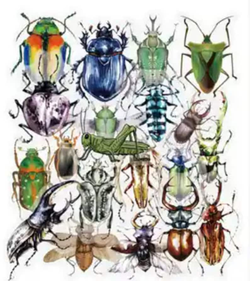 40 Transparent insect stickers image 1