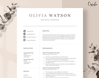 Plantilla de CV, Plantilla de CV profesional, Plantillas de CV, Currículum vitae, CV, Cv, Plantilla funcional, MS Word, Plantilla CV -Oli
