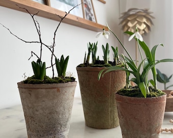 Maceta rústica de terracota: decoración de jardín estilo granja en tres tamaños.