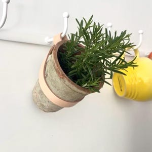 Rustic Terracotta Plant Pot with a wall hanging belt for Rustic Farmhouse style Kitchen