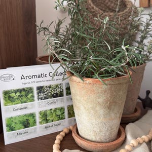May include: Potted aromatic herbs with long, green leaves. The plants are in weathered terracotta pots. A seed packet with the text "Aromatic Collection" and herb images is visible. A wooden bead garland and woven basket are also in the image.