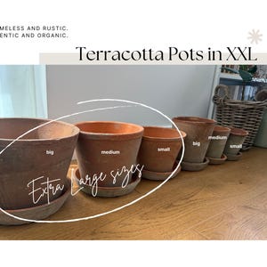 Op de afbeelding: Een verzameling terracotta potten in verschillende maten, gelabeld met "groot", "medium" en "klein". De potten staan op een houten oppervlak, met de tekst "Extra Large sizes" en "Terracotta Pots in XXL".