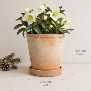 Vaso grande de terracota/ Vaso rústico para plantas/ Vaso de barro vintage/ Vaso de terracota envelhecido/ Vaso rústico/ Decoração estilo casa de campo