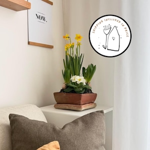 Maceta cuadrada de terracota, estilo rústico y campestre, romántica, francesa, acogedora para flores de primavera y verano.