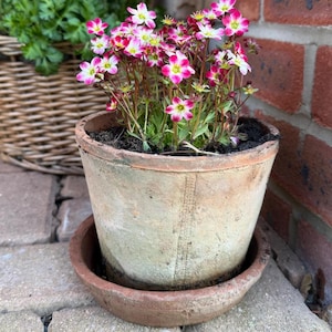Cottage House Style Terracotta Plant Pot/ Rustic and Timeless/ Old/ Farmhouse Style Garden Decor/ Vintage Plant and Flower Pots/ Vintage