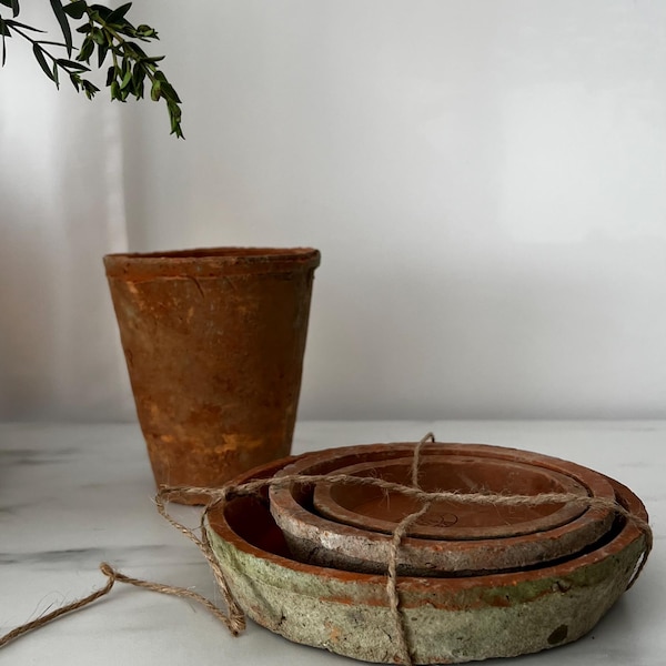 Rustic Terracotta Pot Saucer/ Farmhouse Style with Natural Moss/ Aged Terracotta Saucer