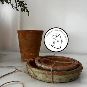 Rustic Terracotta Pot Saucer: Farmhouse Style with Natural Moss