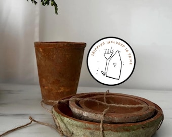 Plato rústico de terracota para maceta: estilo campestre con musgo natural.