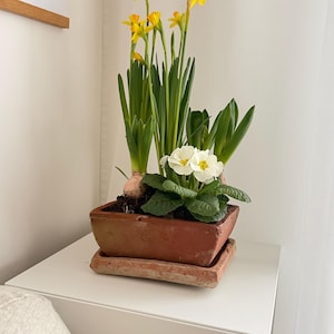 Maceta cuadrada de terracota, estilo rústico y campestre, romántica, francesa, acogedora para flores de primavera y verano.