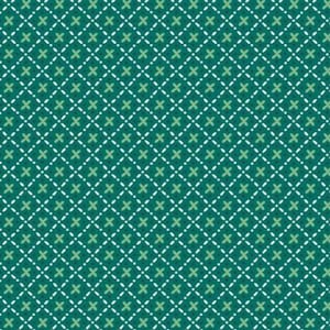 Bee Plaids Barn Dance Jade C12028-JADE by Lori Holt for Riley Blake Designs DISCONTINUED FABRIC