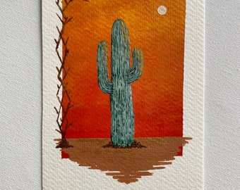 Cactus Under the Sun