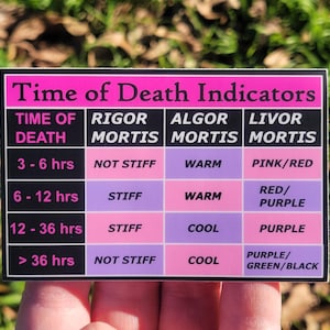 Time of Death Indicators Sticker / Forensics Criminology Criminal Justice Crime Scene Vinyl Decal (3.8" x 2.5")